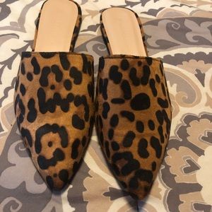 Leopard mules